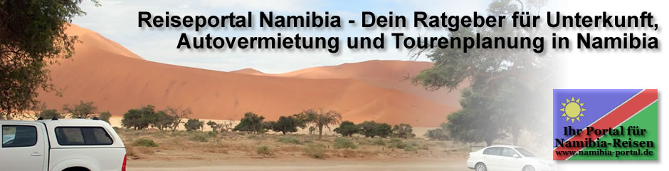 header12.jpg