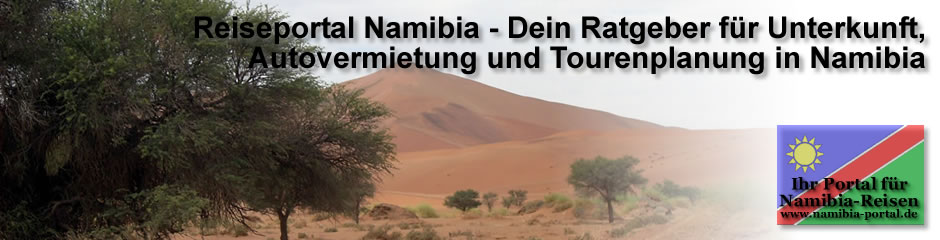 header13.jpg