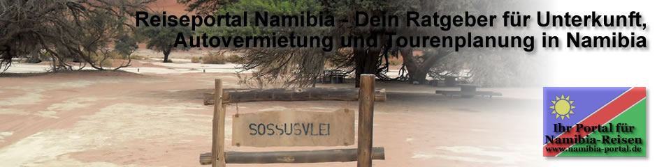 header14.jpg