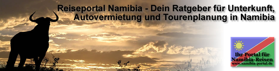 header4.jpg