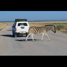 Afrika Erfahren - Spezialveranstalter für Namibia Afrika Erfahren - Spezialveranstalter für Namibia